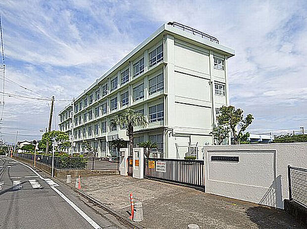 【小学校】平塚市立なでしこ小学校まで2328ｍ