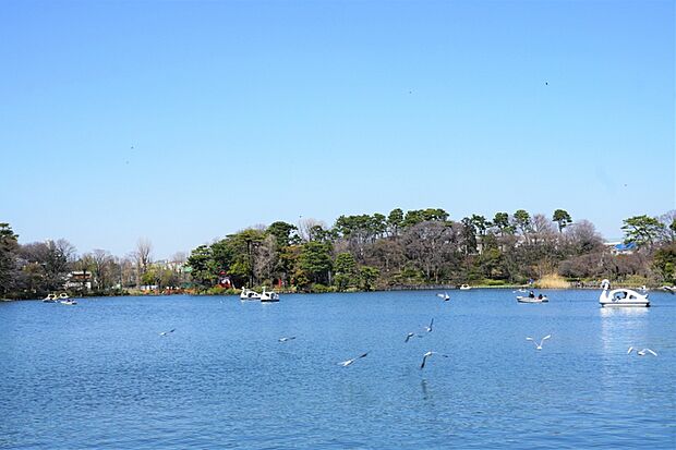 歌川広重の名所江戸百景『千束の池袈裟懸松』にも描かれた水辺の景観の面影を今も残す「洗足池公園」。周辺住民の憩いの場になっており、池月橋、水生植物園のほか、勝海舟記念館も隣接しています。