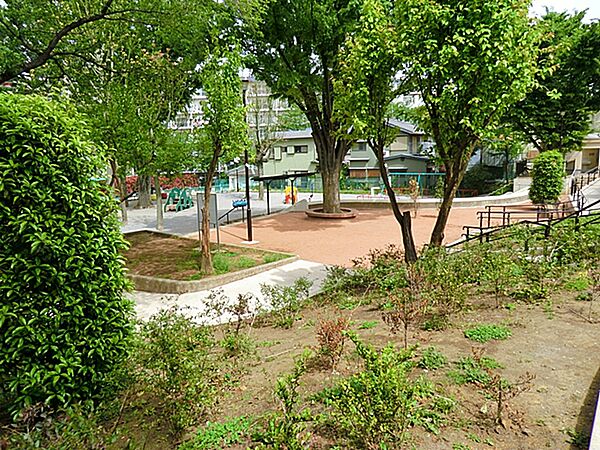 周辺を拡大表示