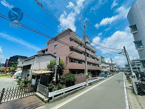 ・。*・。*・。*・。*・。現地にて撮影したご紹介写真です☆彡・。*・。*・。*・。*・。