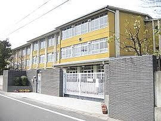 ▼周辺アクセス☆彡京都市立桂徳小学校まで571m　徒歩8分