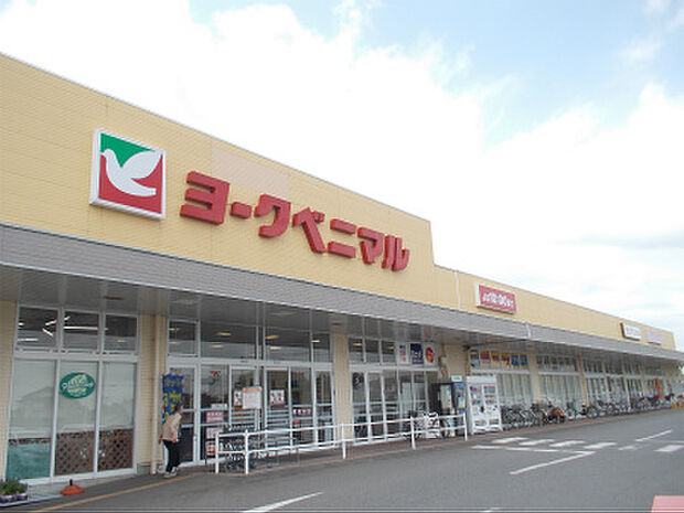 ヨークベニマル羽鳥東店（225m）