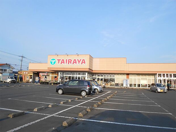 エコス TAIRAYA(たいらや) 友部店(499m)