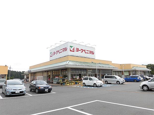 ヨークベニマル八郷店(3841m)