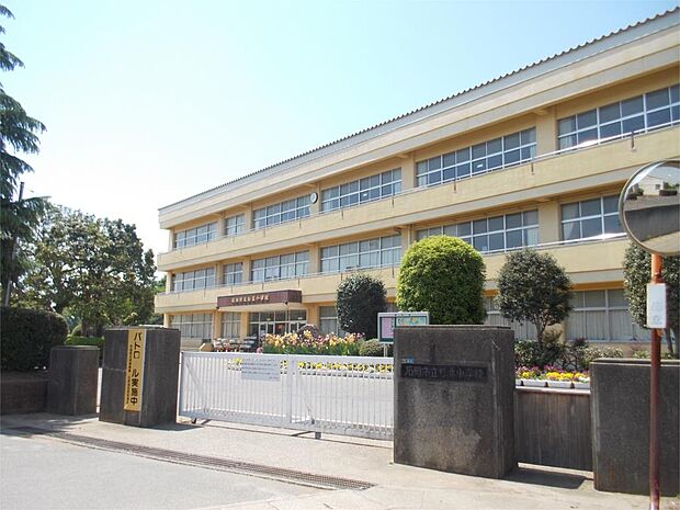 石岡市立杉並小学校(478m)