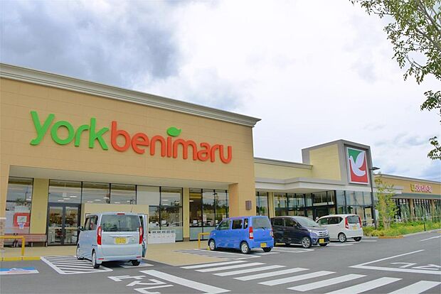 ヨークベニマル 石岡西店（423m）