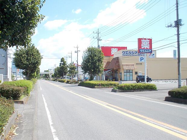 ウエルシア石岡杉並店(204m)