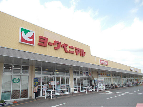 ヨークベニマル羽鳥東店（1003m）
