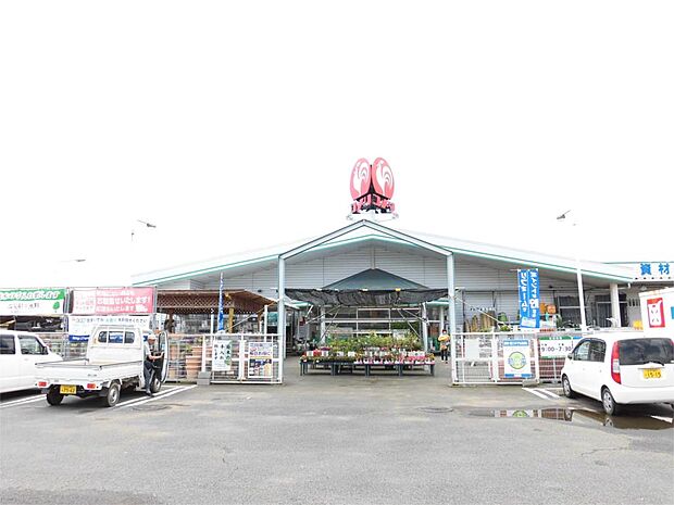 コメリハードアンドグリーン美野里店(643m)