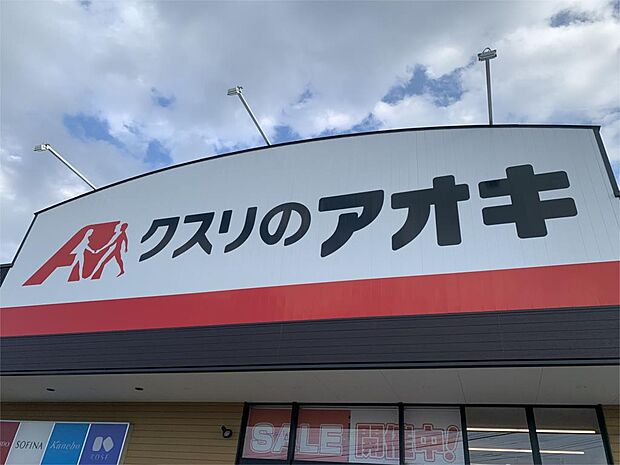 クスリのアオキ 石岡若宮店(1192m)