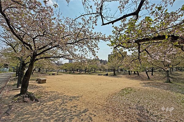 毛馬桜之宮公園の外観