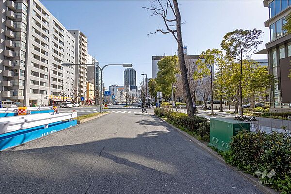 敷地東側の前面道路（北側から）