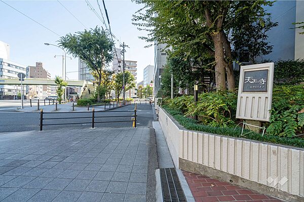 敷地北側の前面道路