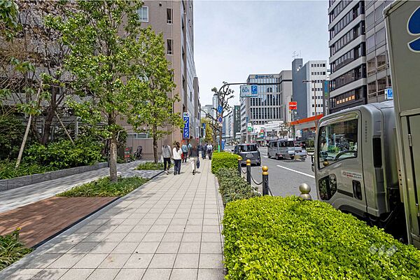 敷地東側の前面道路（南側から）