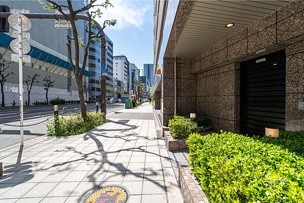 敷地東側の前面道路