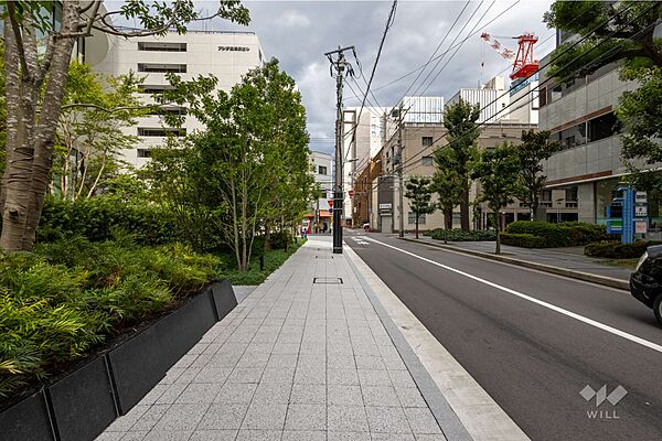 敷地南側の前面道路