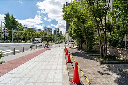 敷地南西側の前面道路(北側から)