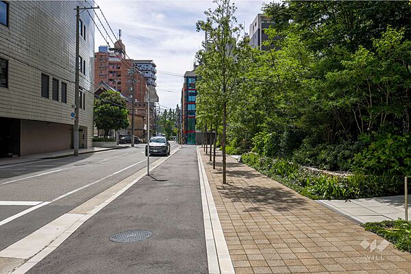 敷地南側の前面道路（東側から）