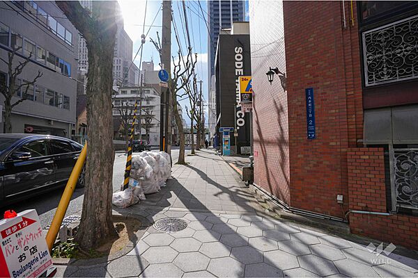 敷地西側の前面道路（北側から）