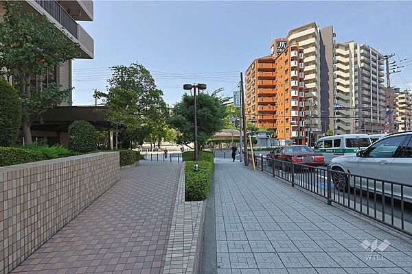 敷地北側の前面道路（東側から）
