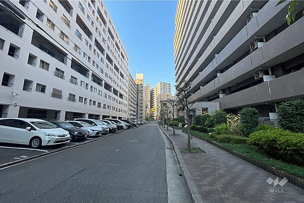 敷地南東側の前面道路