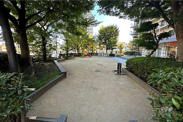 敷地北側に隣接する公園