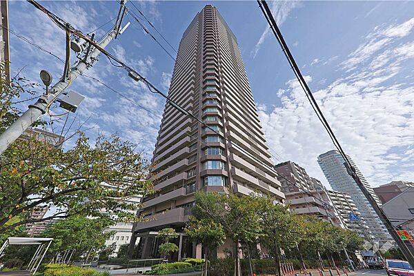 ザ上本町タワーの外観（南西側から）