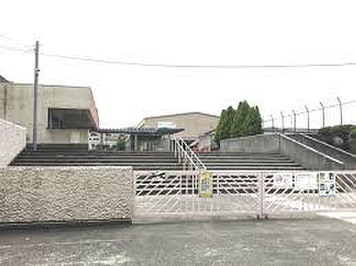 堺市立野田小学校まで600m　徒歩8分