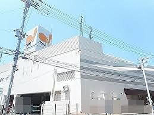 ダイエー 北野田店まで　約７００m（徒歩１０分）