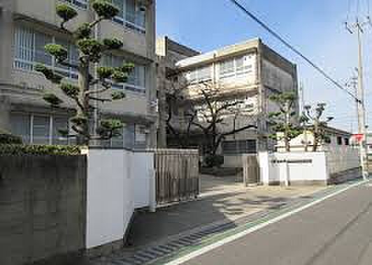 堺市立登美丘東小学校まで200m　徒歩3分