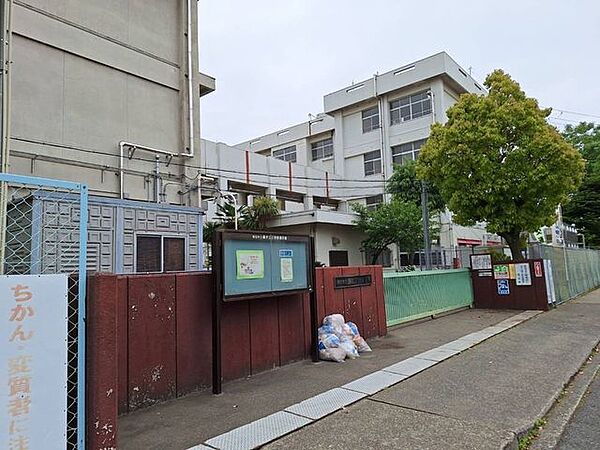 錦が丘小学校 190m
