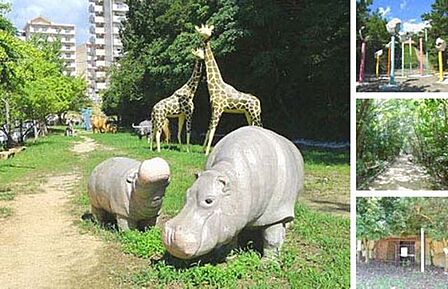 松が丘公園 730m