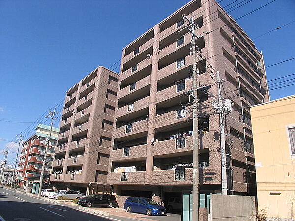 外観：335000030986