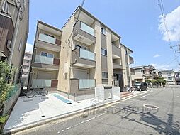 Ｆ　ａｓｅｃｉａ　Ｌｅｇｇｉｅｒｏ