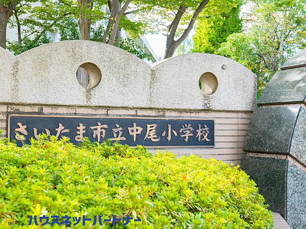 周辺環境-小学校(1320m)さいたま市立中尾小学校