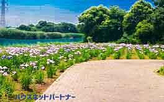 周辺環境-公園(500m)八潮南公園