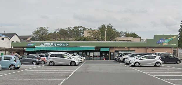 周辺環境-スーパー(450m)セレクション 西原店