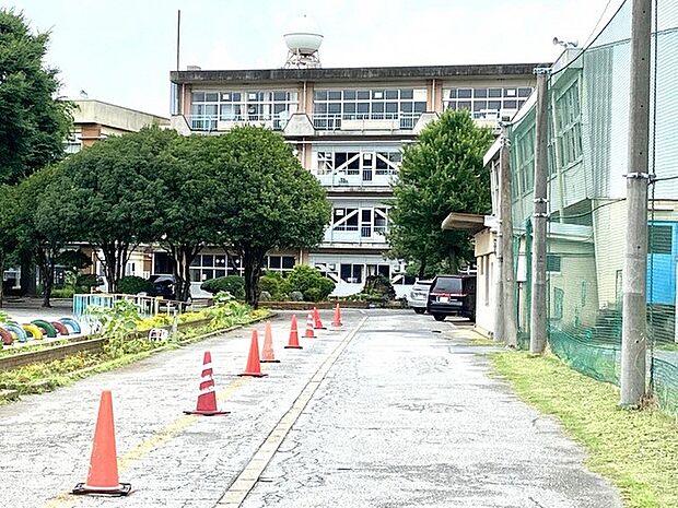 周辺環境-小学校(700m)柏市立西原小学校