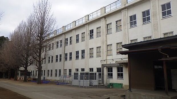 周辺環境-小学校(1050m)野田市立中央小学校