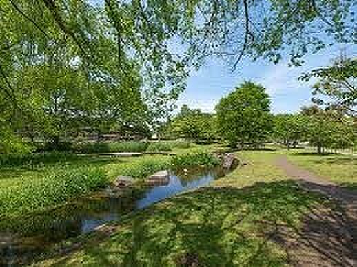 周辺環境-公園(1300m)野々下水辺公園