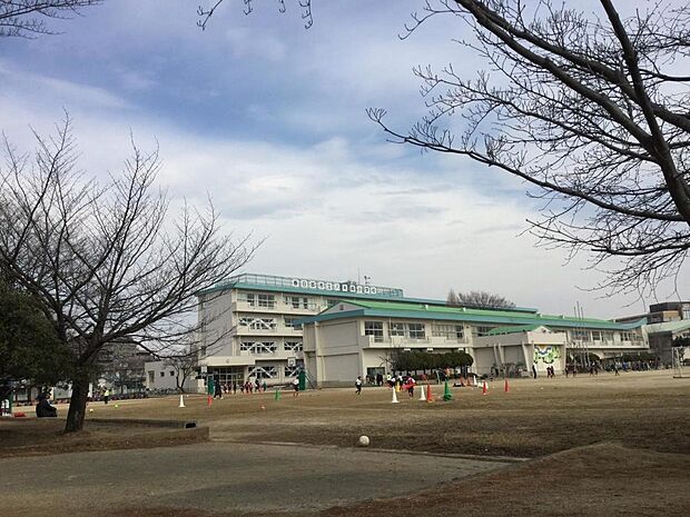 周辺環境-小学校(800m)春日部市立八木崎小学校