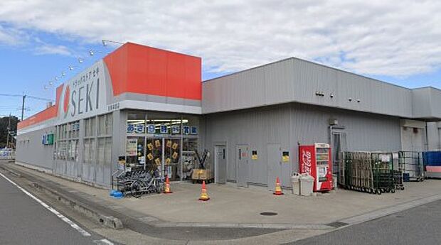 周辺環境-ドラッグストア(500m)ドラッグストアセキ 岩槻本宿店