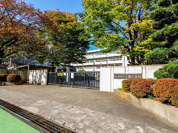 周辺環境-小学校(1600m)さいたま市立上里小学校