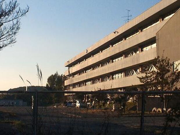 周辺環境-小学校(750m)流山市立八木南小学校