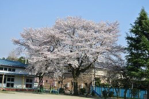 周辺環境-幼稚園・保育園(828m)野田柳沢幼稚園