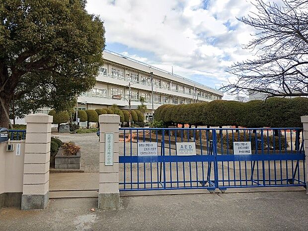 周辺環境-小学校(260m)三郷市立戸ケ崎小学校