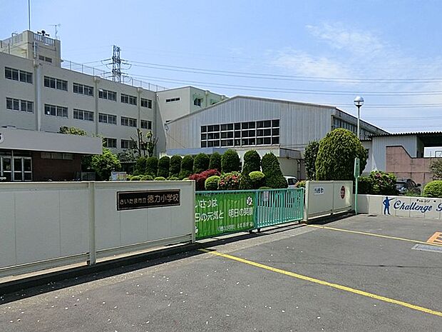 周辺環境-小学校(800m)さいたま市立徳力小学校