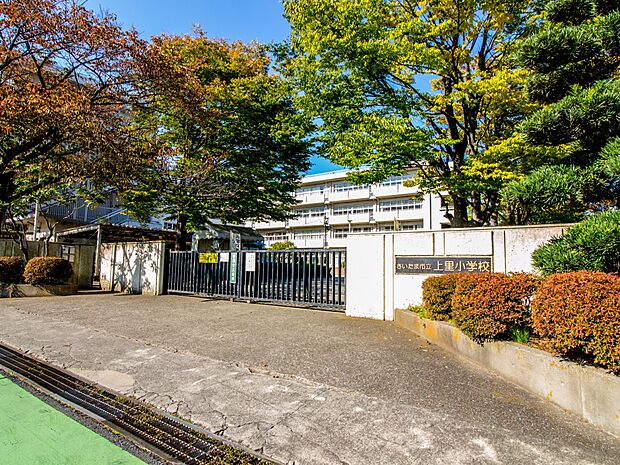 周辺環境-小学校(700m)さいたま市立上里小学校