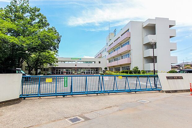 周辺環境-小学校(1400m)さいたま市立城南小学校