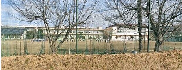 周辺環境-中学校(850m)野田市立第一中学校